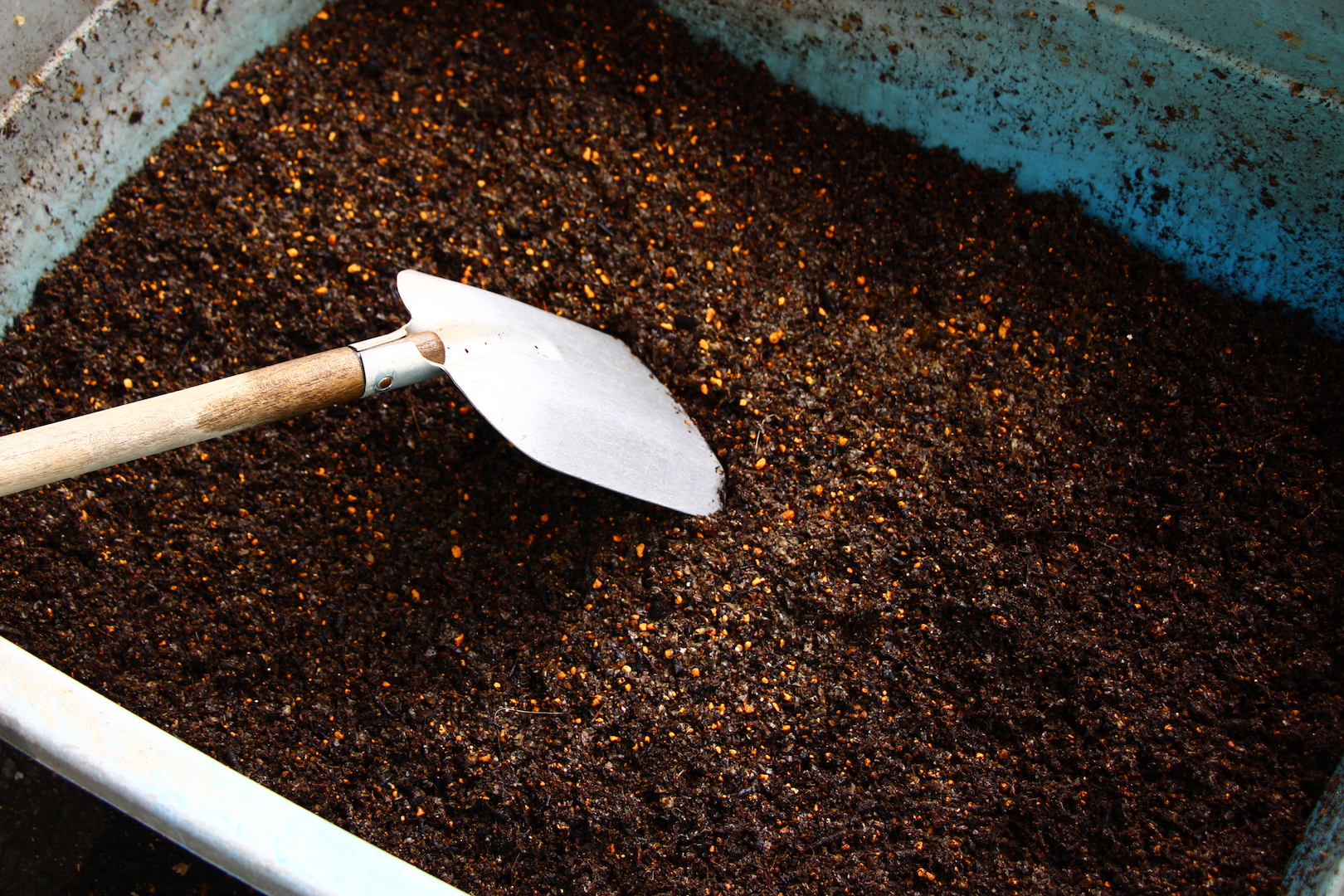 コーヒーかすとチャフとガーデニングの肥料の話 Golpie Coffee